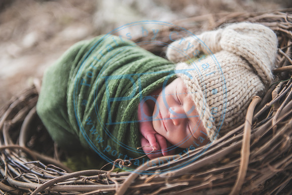 Declan - Newborn_080421_0427