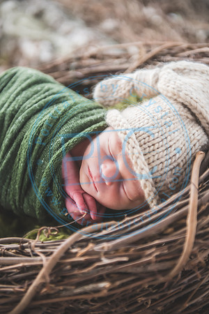 Declan - Newborn_080421_0429