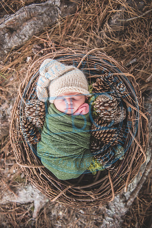 Declan - Newborn_080421_0447