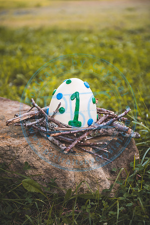 Finn - Cake Smash_080821_0264