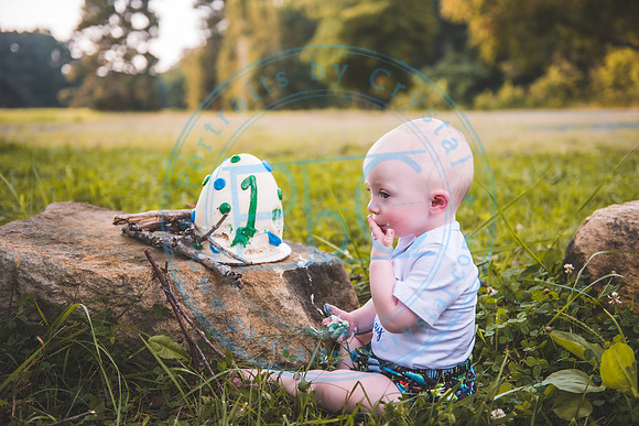 Finn - Cake Smash_080821_0291