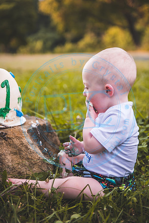 Finn - Cake Smash_080821_0300