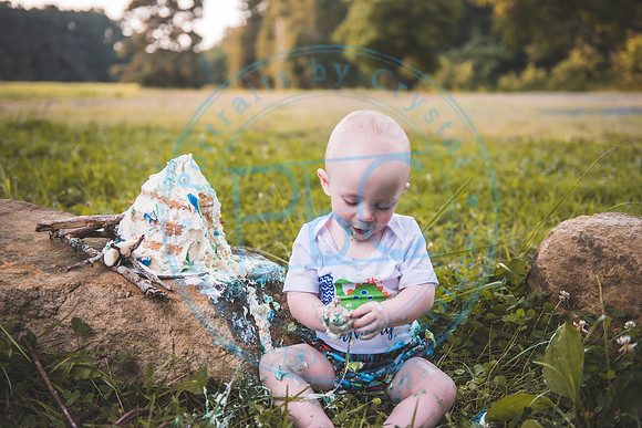 Finn - Cake Smash_080821_0376