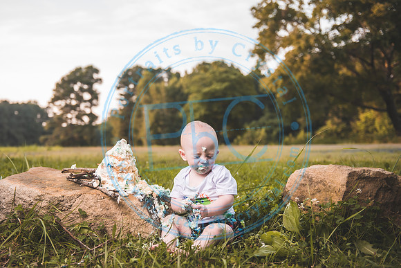 Finn - Cake Smash_080821_0398