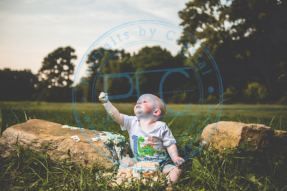 Finn - Cake Smash_080821_0467