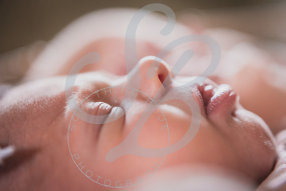 Mia - Newborn_052424_0689