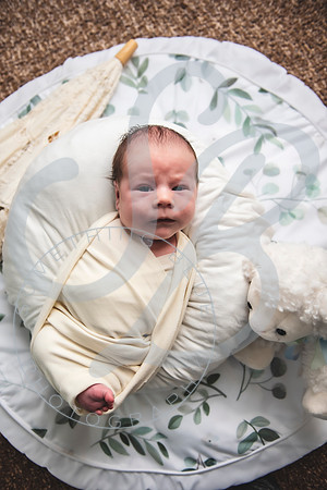 Alexander - Newborn_052522_0221