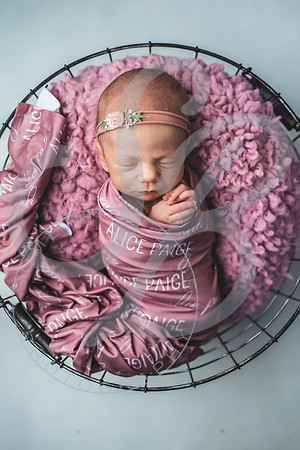 Alice - Newborn_030822_0171