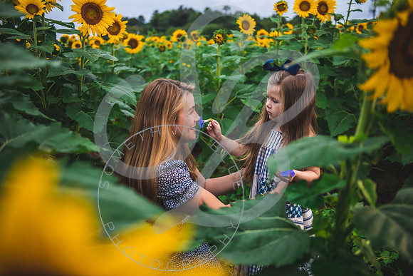 Sunflower Minis - Massie_082021_0086