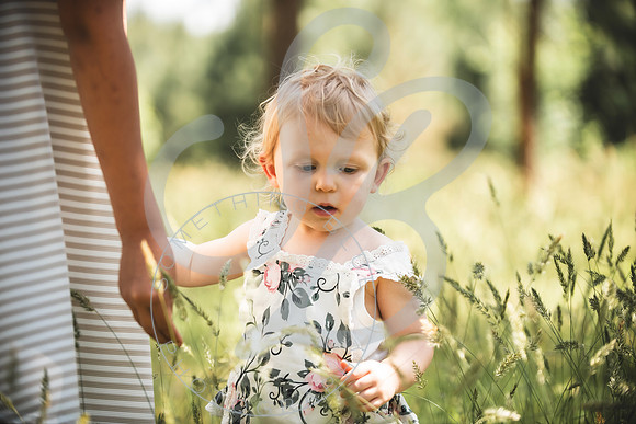 Molly - Mom Mini_051224_0147