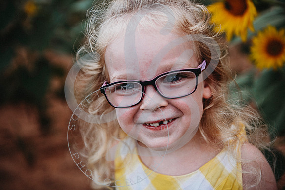 Sunflower Minis - Sherri_071422_0163
