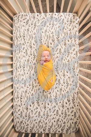 Maverick - Newborn_012122_0228