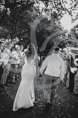 750_2097 (1)