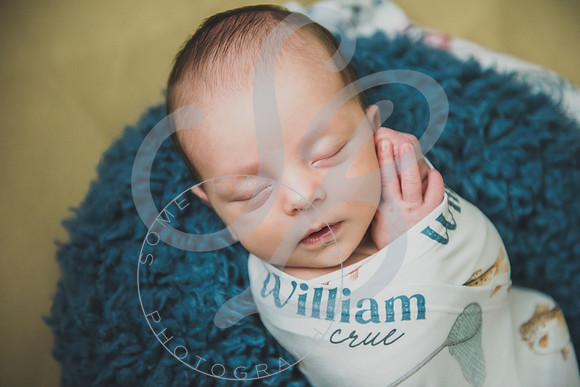 Crue - Newborn_083121_0261