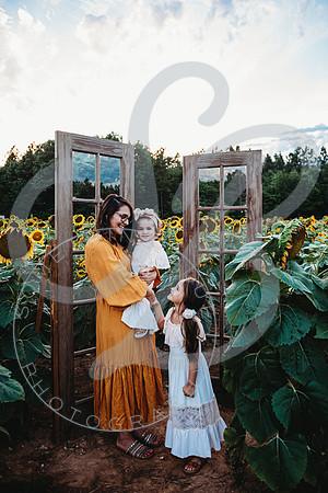 Sunflower Minis - Katelin_071222_0010