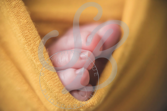 Maverick - Newborn_012122_0125