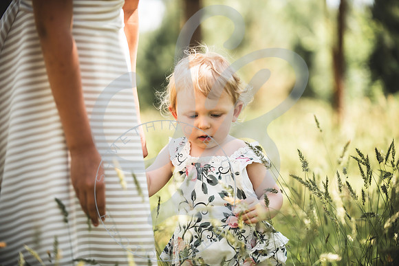 Molly - Mom Mini_051224_0144