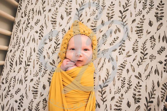 Maverick - Newborn_012122_0196