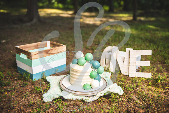 Asher - 1 Year_062324_0225