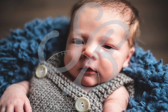 Maverick - Newborn_012122_0019
