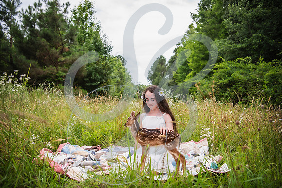 750_2381