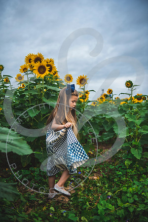 Sunflower Minis - Massie_082021_0119