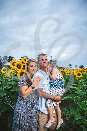Sunflower Minis - Massie_082021_0023