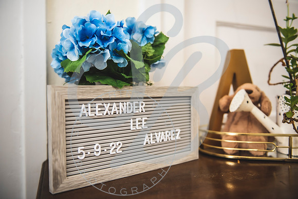 Alexander - Newborn_052522_0178
