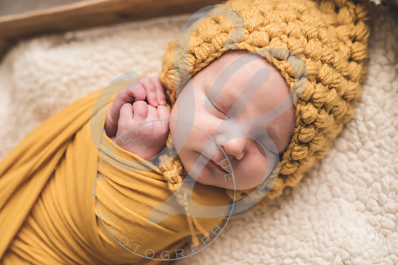 Maverick - Newborn_012122_0174