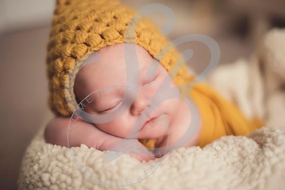 Maverick - Newborn_012122_0110