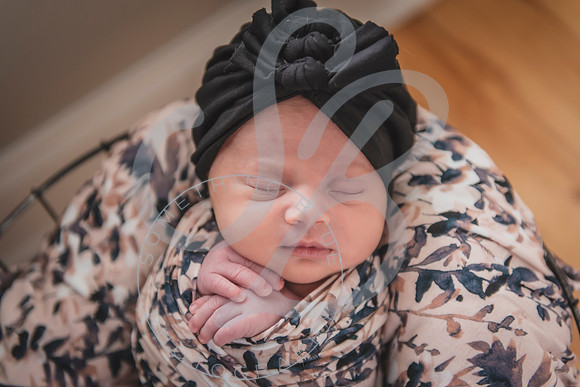 Mia - Newborn_052424_0558