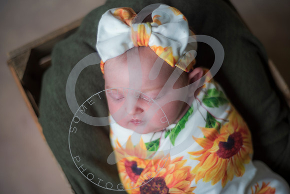 Lyla - Newborn_071325_0054