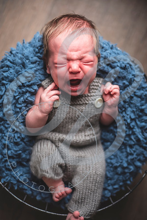 Maverick - Newborn_012122_0053