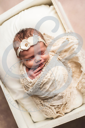 mm_031622_0345