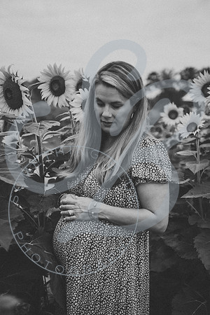 Sunflower Minis - Massie_082021_0137