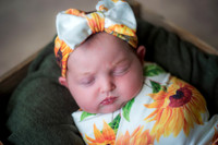 Lyla - Newborn_071325_0015