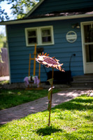 Sarah & Alex - Slideshow.005