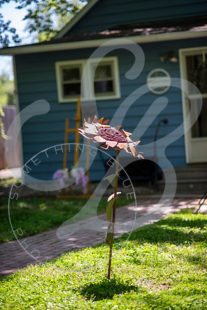 Sarah & Alex - Slideshow.005