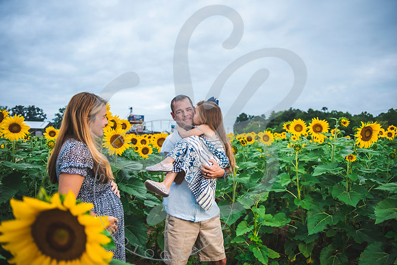 Sunflower Minis - Massie_082021_0034