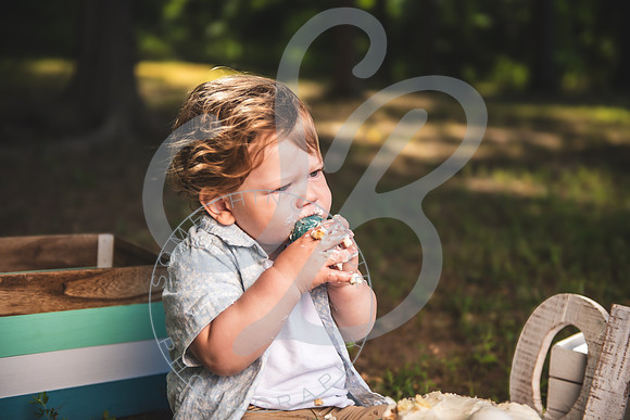 Asher - 1 Year_062324_0283