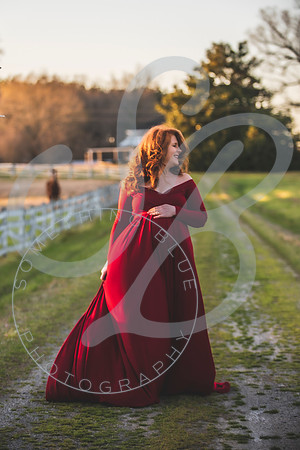 Meaghan - Maternity_032622_0418