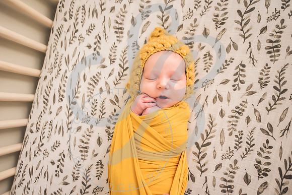 Maverick - Newborn_012122_0198