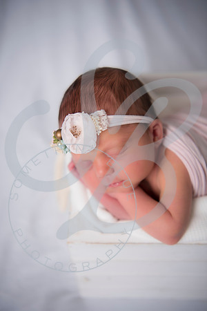 Adcock Twins - Newborn_070225_0198