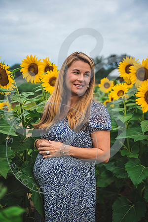 Sunflower Minis - Massie_082021_0142