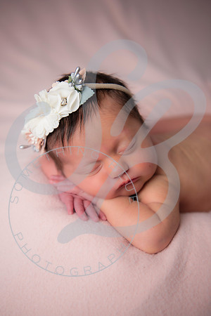 Adcock Twins - Newborn_070225_0275