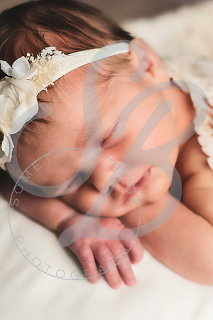 mm_031622_0381