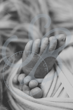 Crue - Newborn_083121_0249