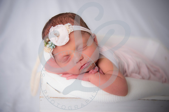 Adcock Twins - Newborn_070225_0178