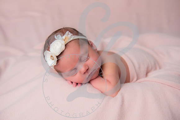 Adcock Twins - Newborn_070225_0305