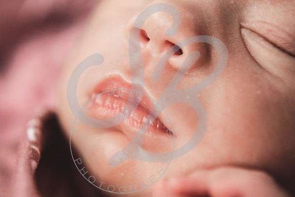 Alice - Newborn_030822_0192